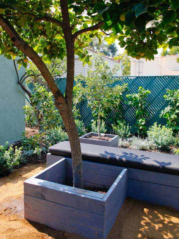 Simply Spectacular Cozy Seats Around a Tree homesthetics (16)