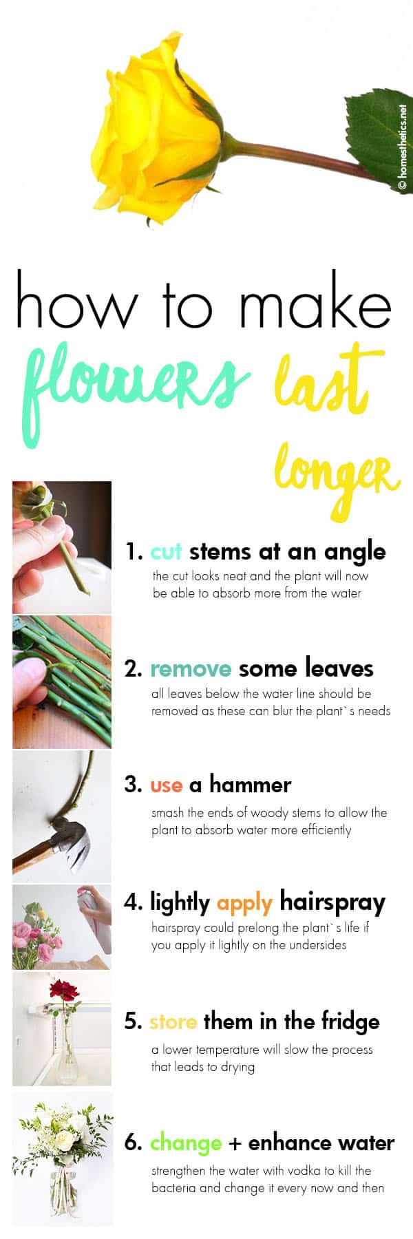 how to make flowers last longer