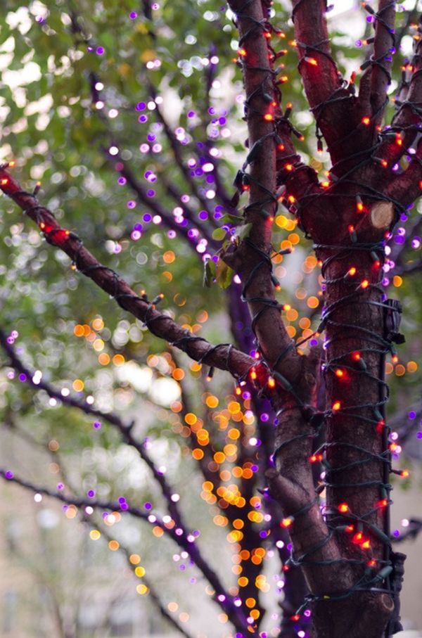 tree-lights