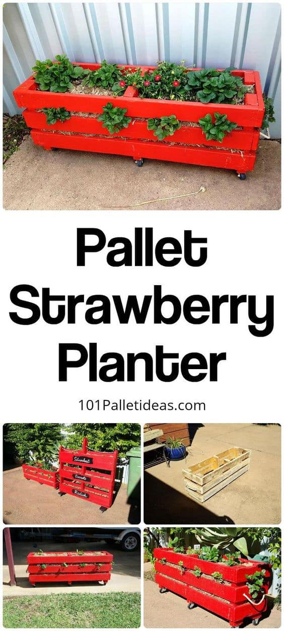 102. SMALL STRAWBERRY PALLET PLANTER