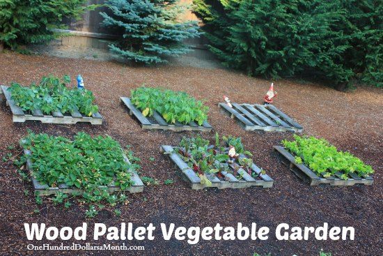 103. WOOD PALLET VEGETABLE GARDEN