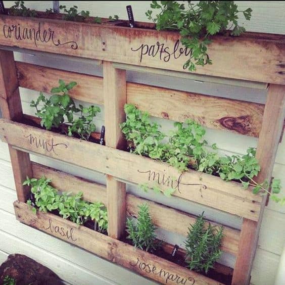 24. HERBAL PALLET GARDEN