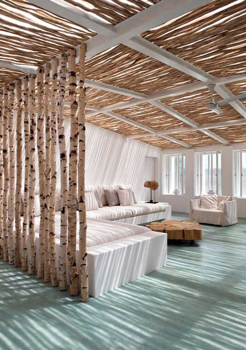 birch tree room divider