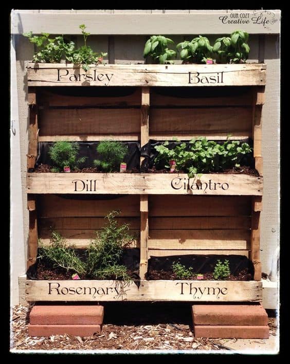 34. KNOW WHAT YOU HAVE PLANTED IN YOUR PALLET GARDEN