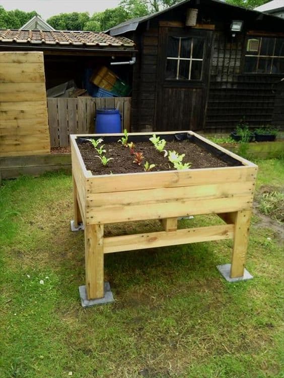 38. RAISED PALLET GARDEN NURSERY