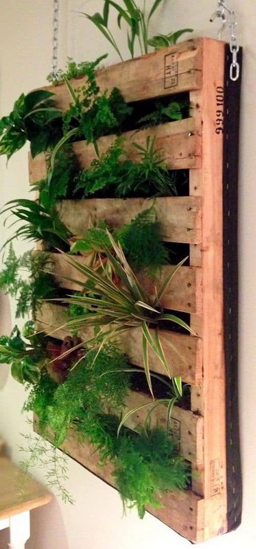 43. INDOOR VERTICAL RICH PALLET GARDEN