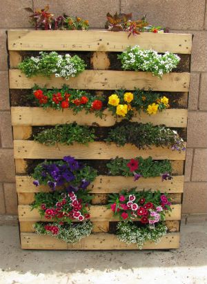 53. COLORFUL FLOWERS IN A VERTICAL PALLET GARDEN