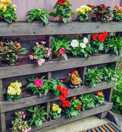 54. VIBRANT VERTICAL PALLET GARDEN