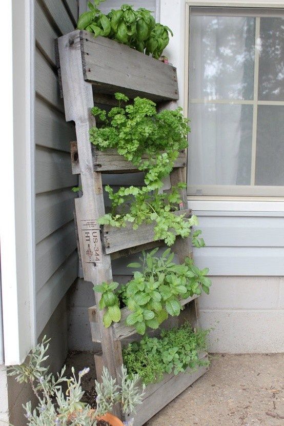 55. HERB GARDEN FROM REPURPOSED PALLET BOXES
