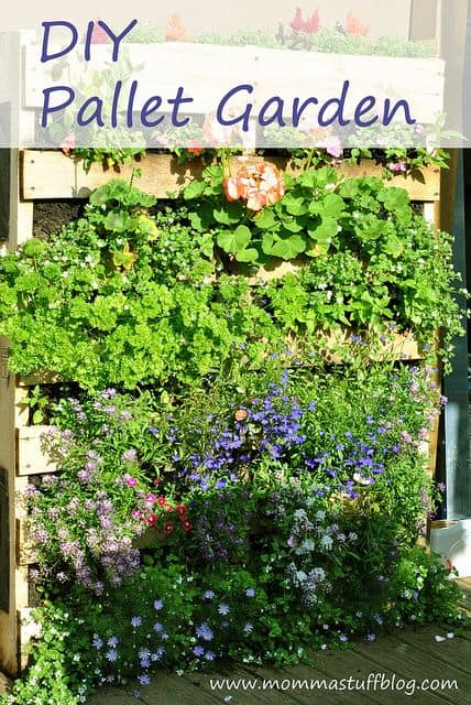 56. A GREEN WALL WITH VERTICAL PALLET GARDENS
