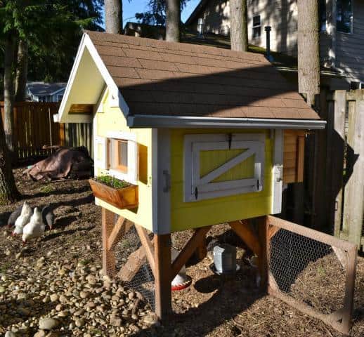 THE LITTLE CHICKEN COOP BY TRICTLE