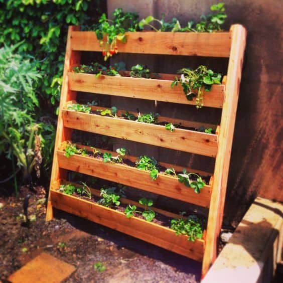 68. VERTICAL STRAWBERRY PLANTER