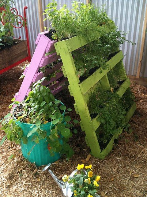 75. PALLET GARDEN WITH ADDITIONAL COLOR