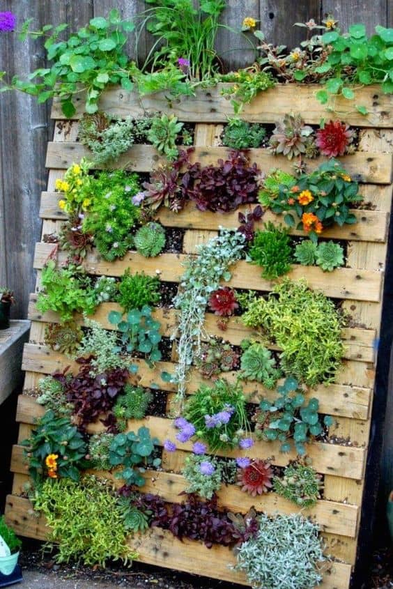 81. BLOOMING PALLET GARDEN