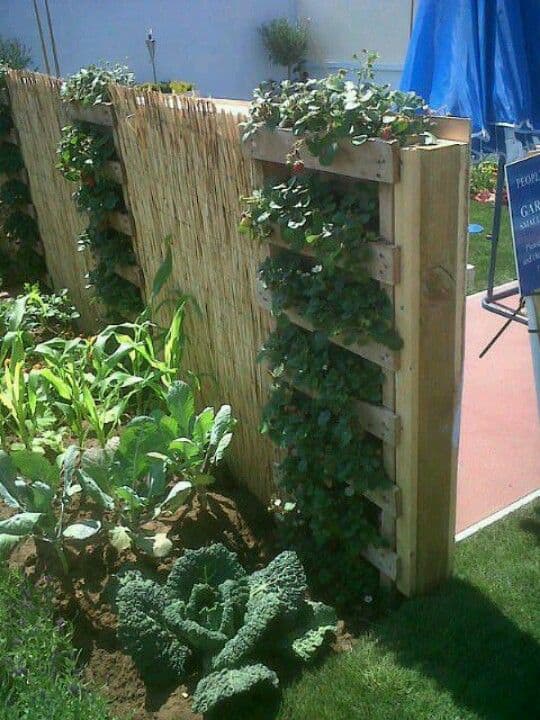 85. VERTICAL PALLET GARDEN WITH FENCE