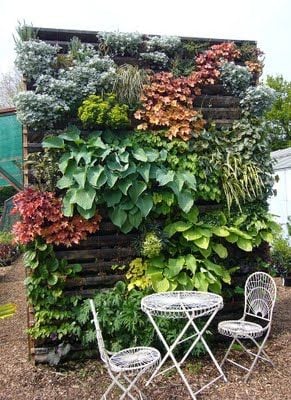 91. GARDEN WALL FROM PALLET PLANTERS