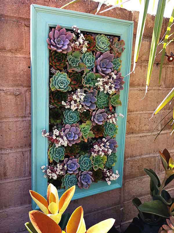 31. NESTLE SUCCULENTS IN A BEAUTIFUL FRAME