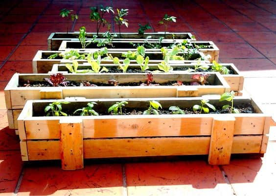 14. LITTLE PALLET GARDENS