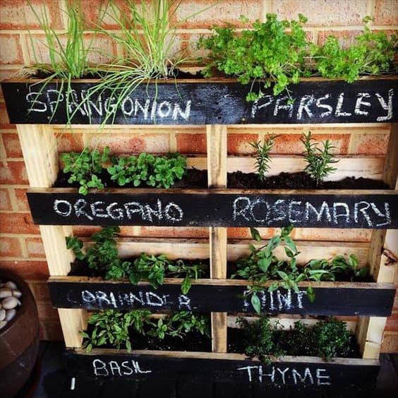 2. VERTICAL HERBAL PALLET GARDEN