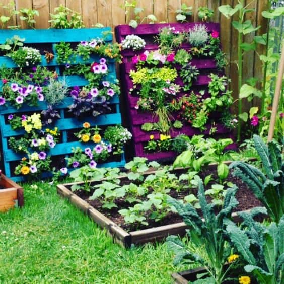 3. COLORFUL VERTICAL HERBAL PALLET GARDEN 