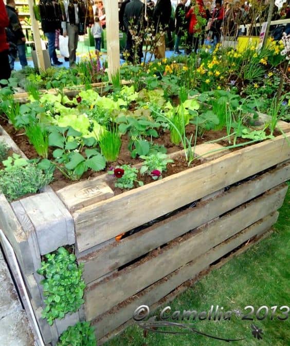 5. PERFECT PALLET GARDEN FOR SMALLER AREAS