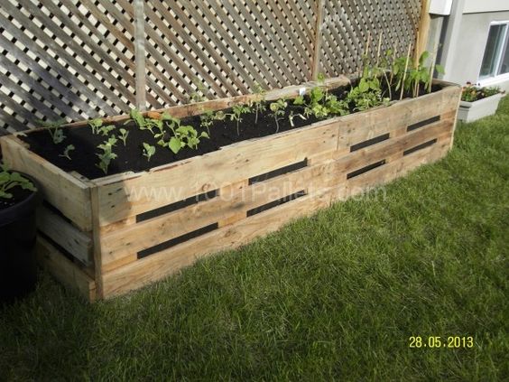 7. VEGETABLE AND FLORAL PALLET GARDENS