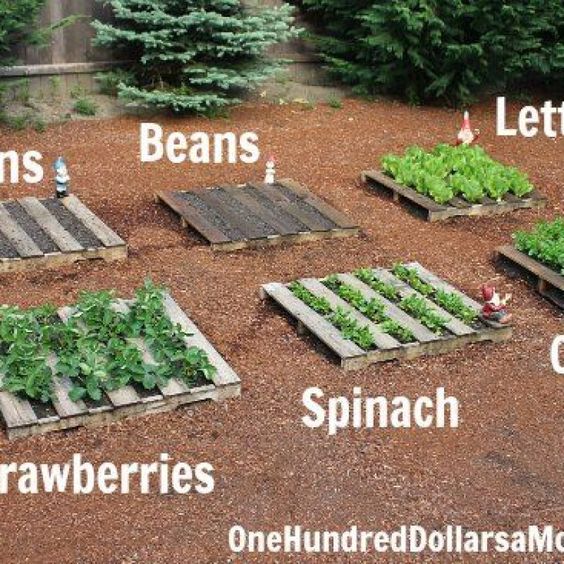 8. GROW YOUR OWN FOOD WITH PALLET GARDENING