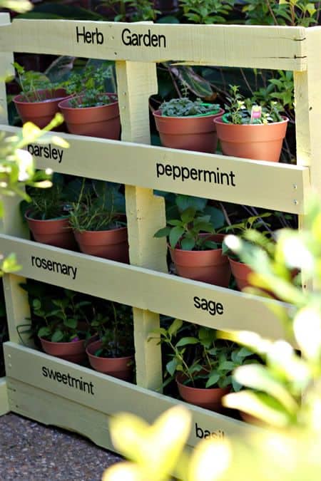 9. POTTED PLANTS ON PALLETS