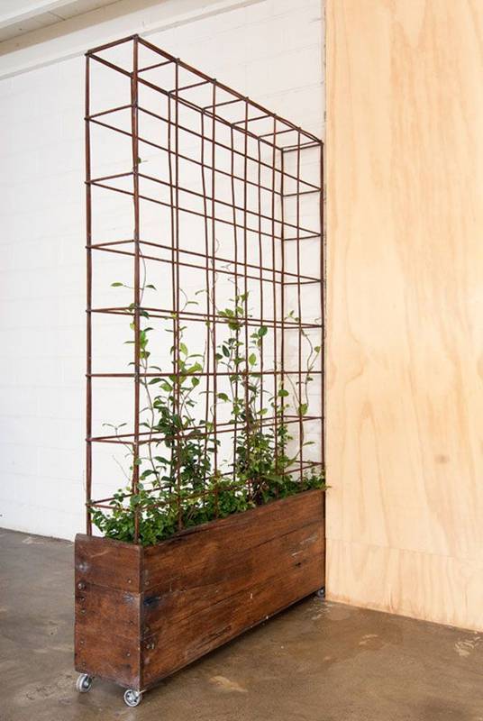 green vertical planter as room divider