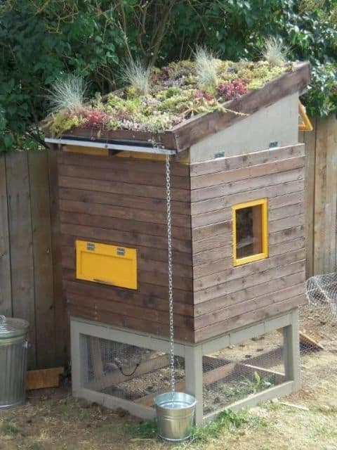 URBAN CHICKEN COOP DESIGN