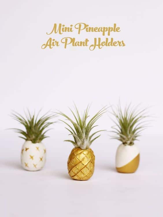 AIR PLANT HOLDERS SHAPED LIKE PINEAPPLES 