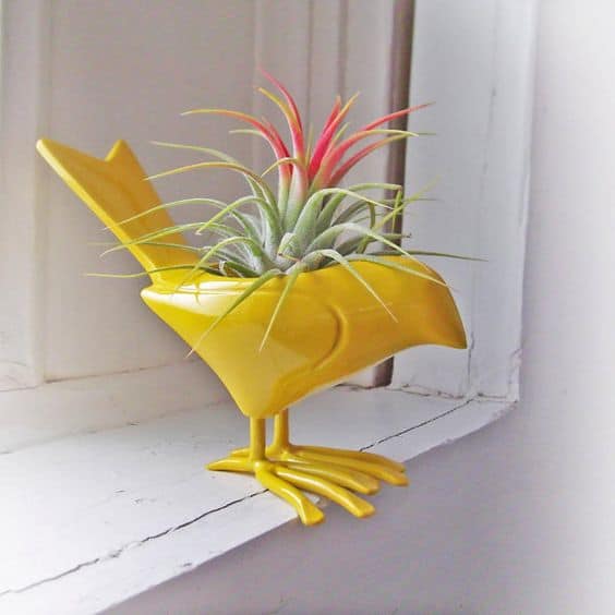 23 Exceptionally Beautiful Air Plant Holder Ideas To Collect