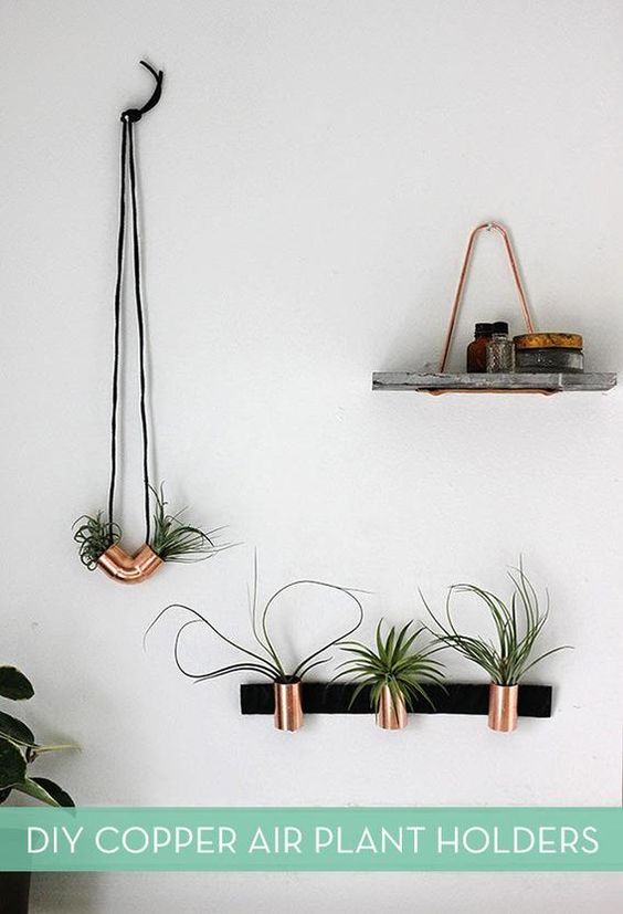 DIY COPPER AIR PLANT HOLDERS