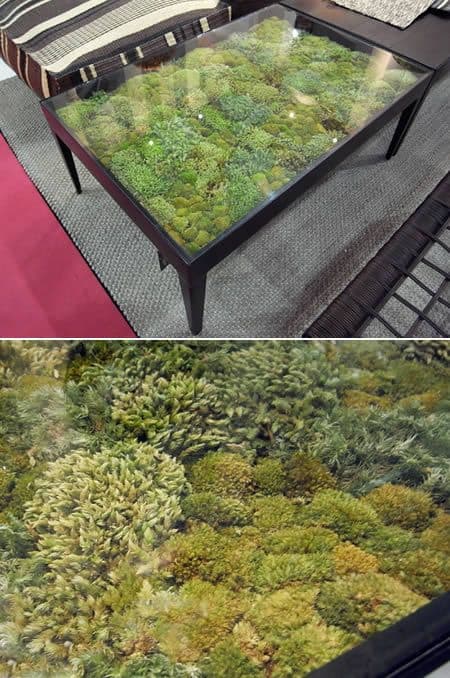39 Elegant Glass Coffee Tables for a Transparent Living Room