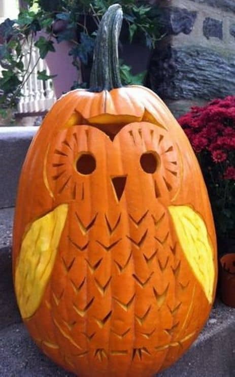 1. DIY COOL OWL PUMPKIN CARVING