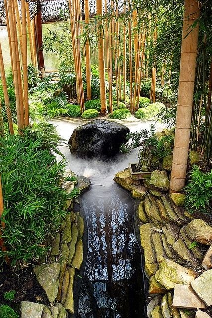 27. Bamboo garden nourished by water