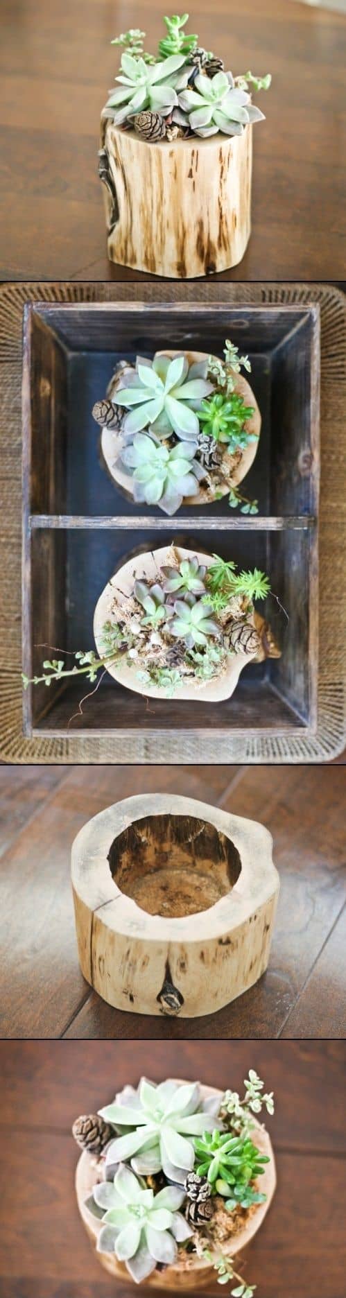 39. PETITE LOG SUCCULENT PLANTERS