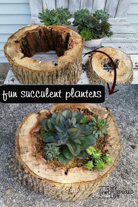 32. DIY LOG SUCCULENT PLANTERS