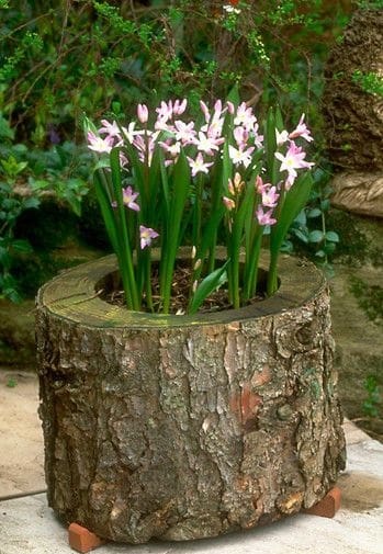 12. WOODEN STUMP FLOWER POT