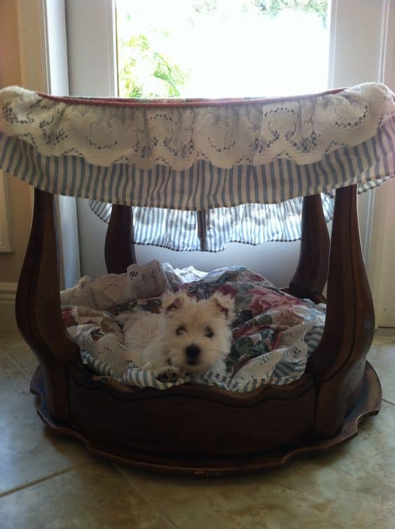 29. SIDE-TABLE BECOMES CANOPY DOG BED