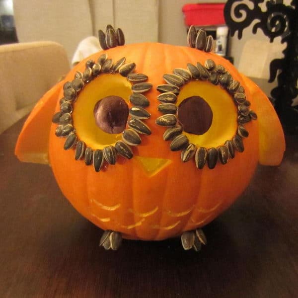 5 owl pumpkin carving