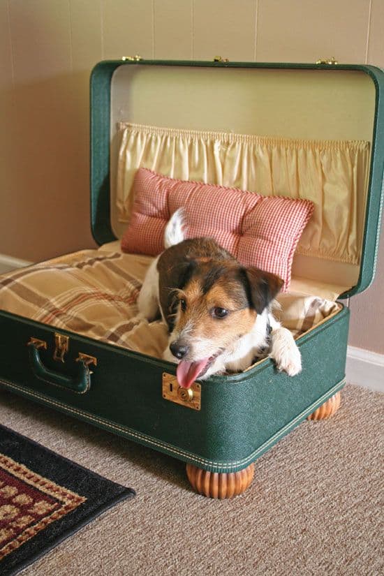 19. DIY TRAVEL BAG DOG BED