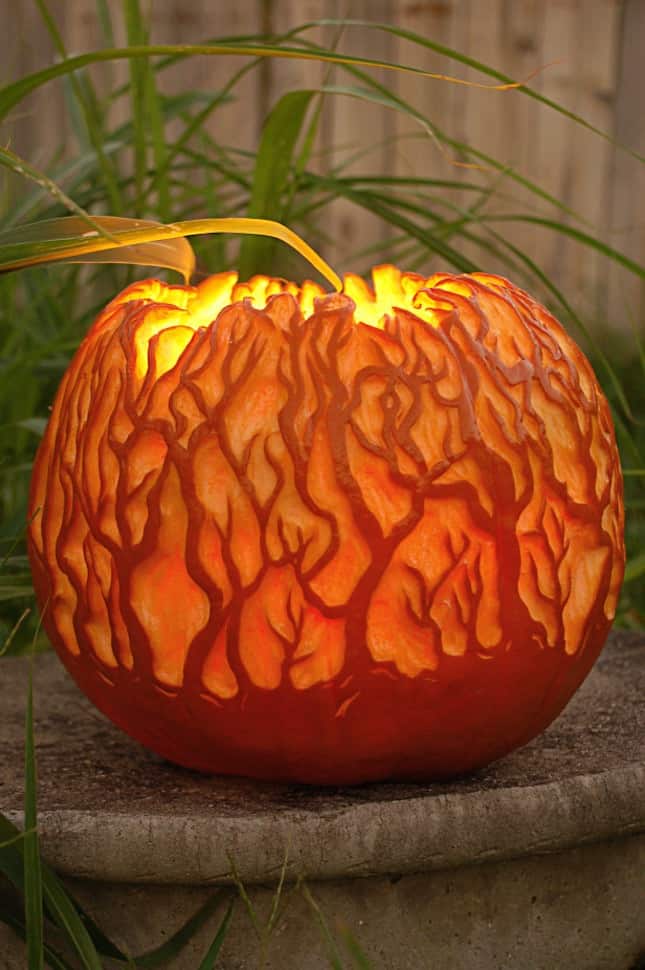 ScaryForestPumpkin