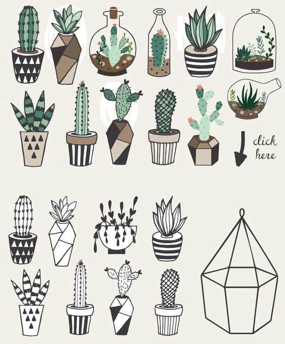 cute geometric potted plants illustrations