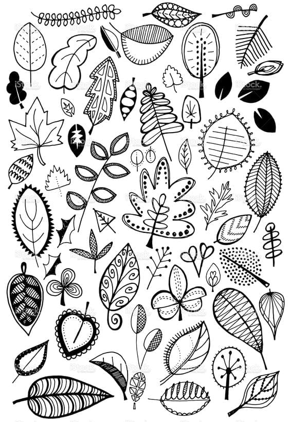 leaf doodles