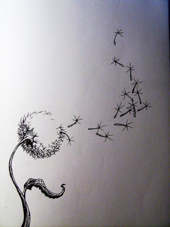 dandelion spreading seeds and inspiration