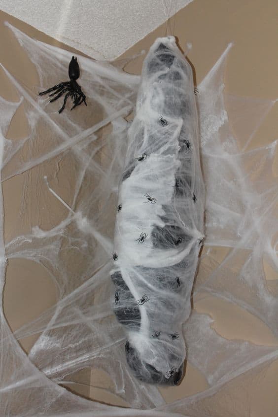 29. THE HUMAN WRAPPED IN COBWEB