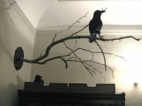 102. USE RAVENS TO DECORATE YOUR HOME