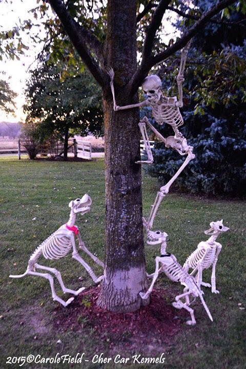 39. FUN WITH SKELETONS