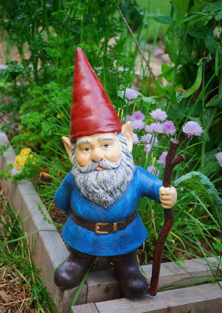 Gnomes as tea praty decor